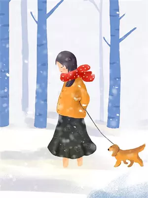 保险第五年出险