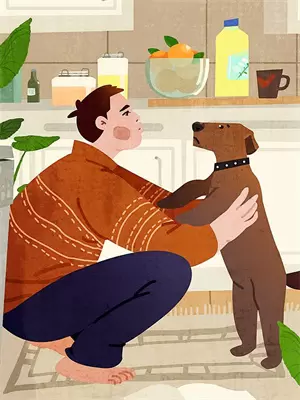 人生小偷苏晚晴林薇