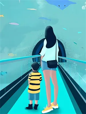 宝可梦 看破