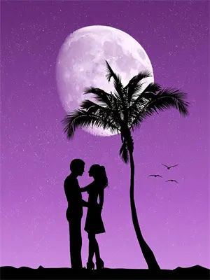 首辅夜夜低哄：恶女她以下犯上萧沉砚沈清梧最新热门小说_免费小说全文阅读首辅夜夜低哄：恶女她以下犯上(萧沉砚沈清梧)